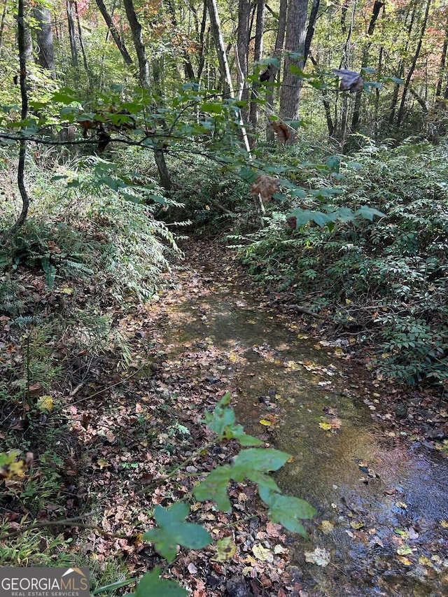 556 Amys Creek Rd, Clarkesville, GA 30523