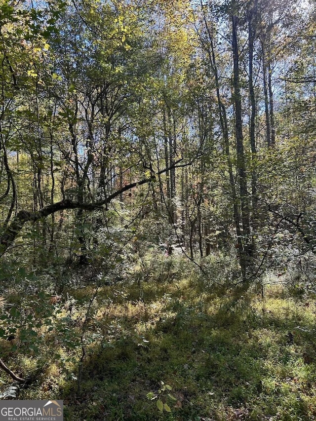 556 Amys Creek Rd, Clarkesville, GA 30523