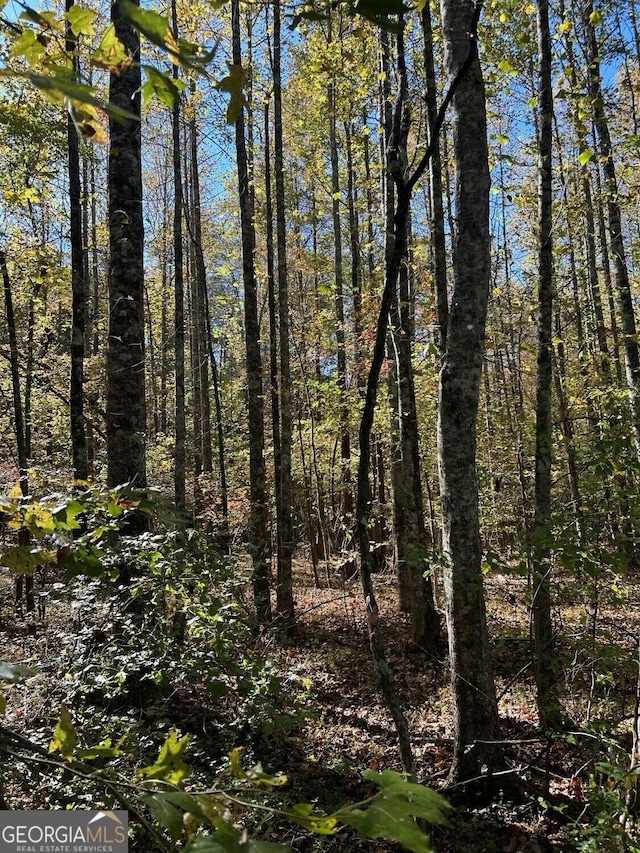 556 Amys Creek Rd, Clarkesville, GA 30523