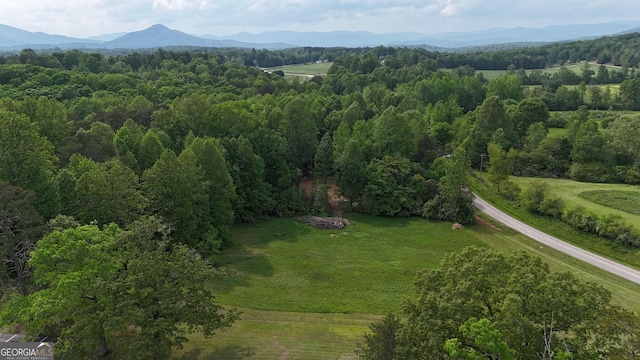 556 Amys Creek Rd, Clarkesville, GA 30523