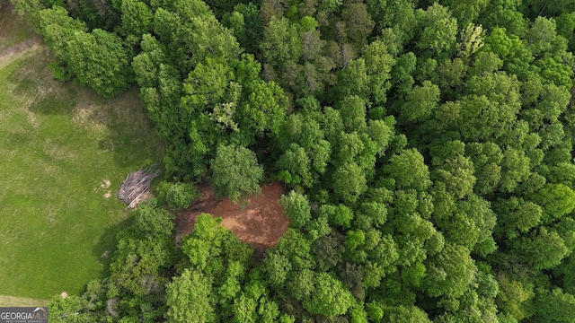 556 Amys Creek Rd, Clarkesville, GA 30523