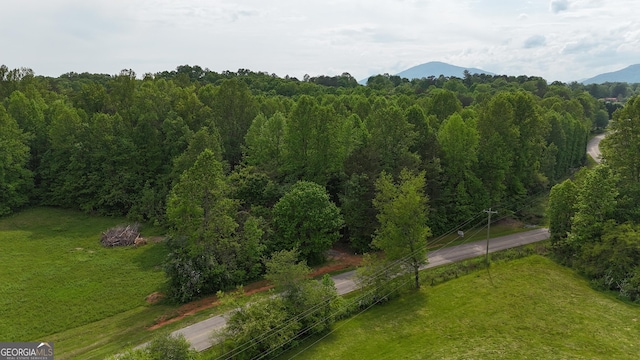 556 Amys Creek Rd, Clarkesville, GA 30523