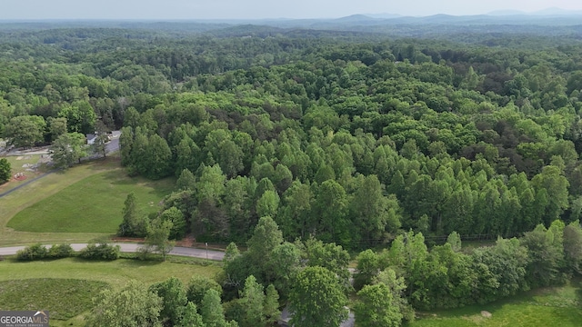 556 Amys Creek Rd, Clarkesville, GA 30523