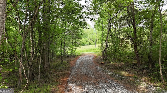 556 Amys Creek Rd, Clarkesville, GA 30523
