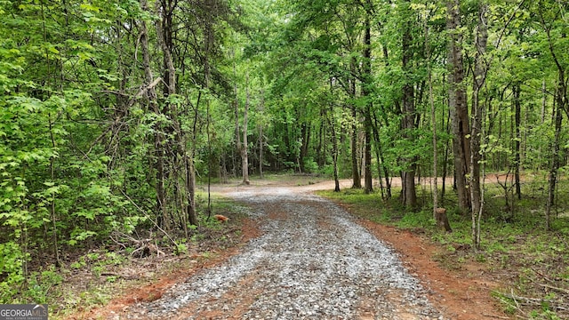 556 Amys Creek Rd, Clarkesville, GA 30523