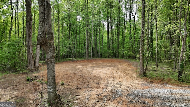 556 Amys Creek Rd, Clarkesville, GA 30523