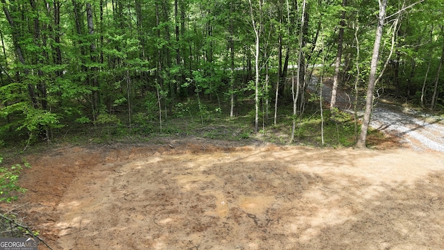 556 Amys Creek Rd, Clarkesville, GA 30523