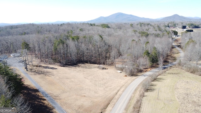 556 Amys Creek Rd, Clarkesville, GA 30523