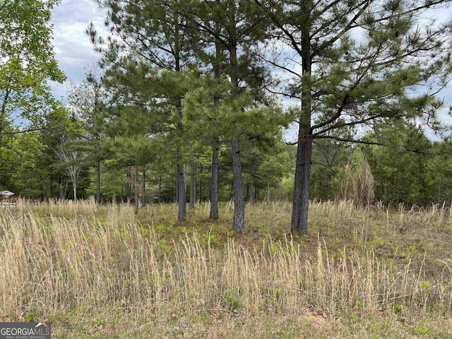 LOT65 Village Loop, Blairsville, GA 30512