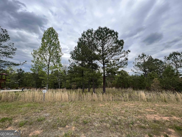 LOT65 Village Loop, Blairsville, GA 30512