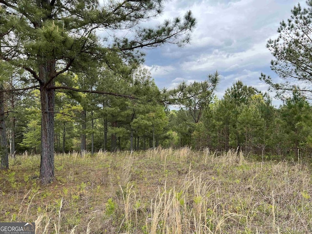 LOT65 Village Loop, Blairsville, GA 30512