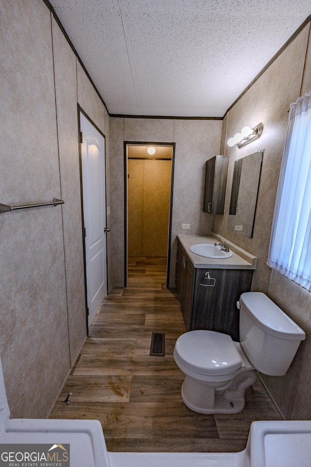 461 Mccord Rd, East Dublin, GA 31027 - bathroom featuring wood finished floors, toilet, vanity, and a textured ceiling
