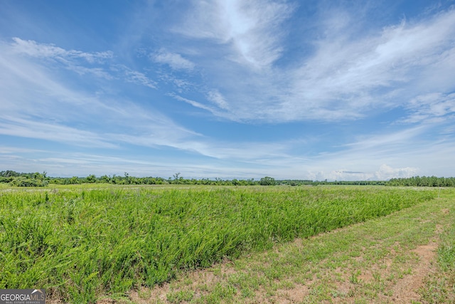 461 Mccord Rd, East Dublin, GA 31027 - view of nature with rural landscape