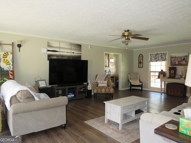 141 Cherokee Cir, Cedartown, GA 30125 - living room with ornamental molding, a ceiling fan, wood finished floors, and a textured ceiling