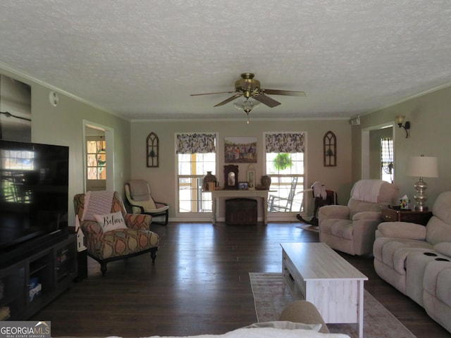 141 Cherokee Cir, Cedartown, GA 30125 - living room with dark wood-style flooring, a textured ceiling, a ceiling fan, ornamental molding, and a fireplace
