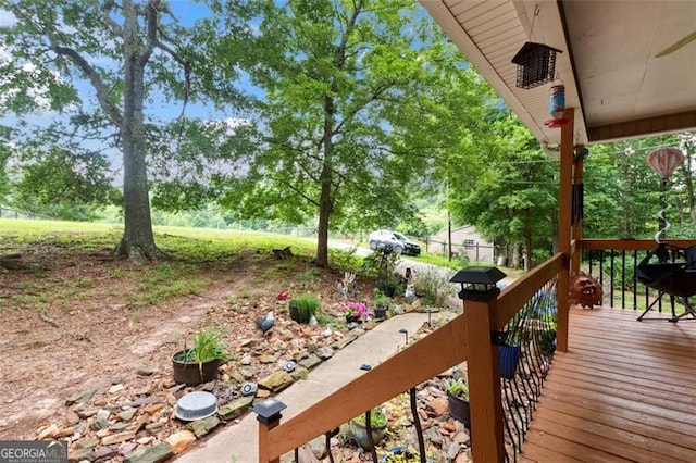 141 Mills Creek Path, Hiram, GA 30141 - view of wooden deck