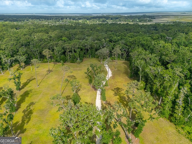 24 Carriage Dr, Saint Simons, GA 31522