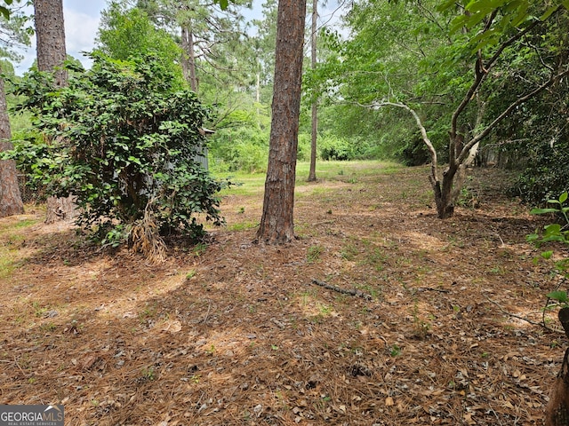 29 Jef Rd, Statesboro, GA 30458 - view of nature
