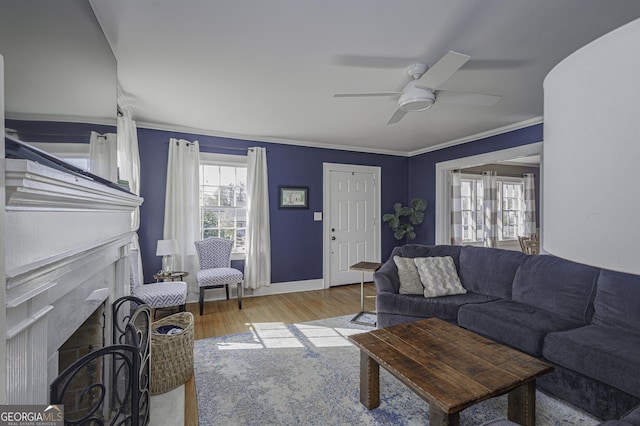 74 Hollis Hts, Newnan, GA 30263 - living area with a fireplace, wood finished floors, ceiling fan, and ornamental molding
