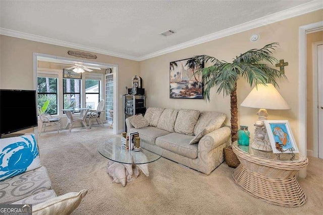 2510 Demere Rd Unit 7, Saint Simons, GA 31522 - carpeted living room featuring crown molding and a textured ceiling