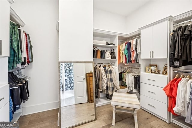 1057 Crossroads Trl, Milton, GA 30004 - walk in closet with light wood-style flooring