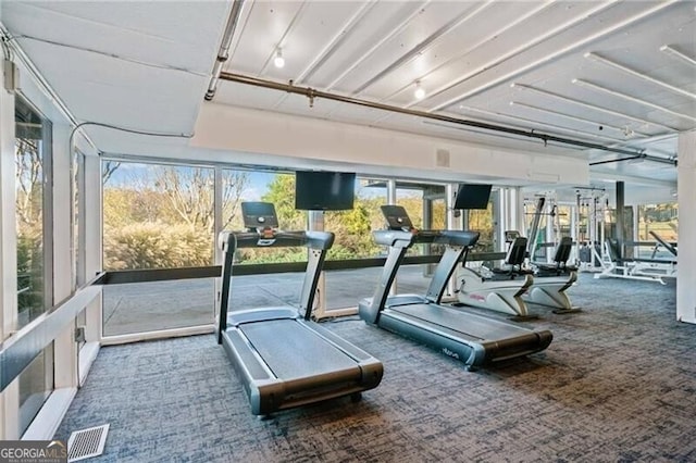 2 Arpege Way NW, Atlanta, GA 30327 - exercise room featuring carpet flooring