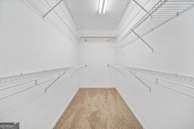 2958 Paul Harris Rd, Dallas, GA 30157 - walk in closet featuring light colored carpet