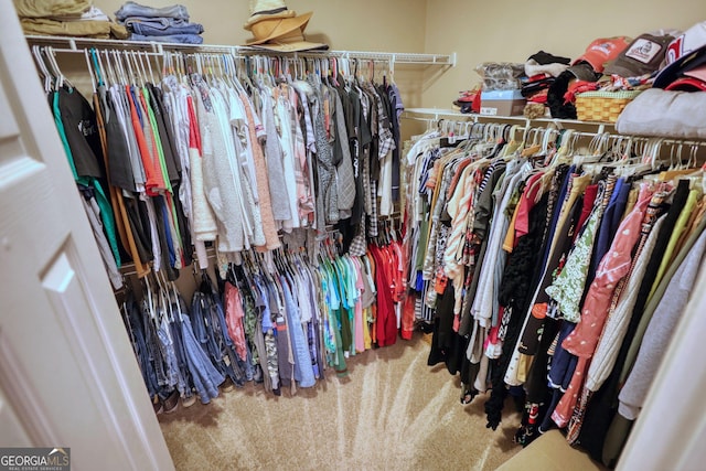 55 Ashton Pl, Covington, GA 30016 - spacious closet featuring carpet floors