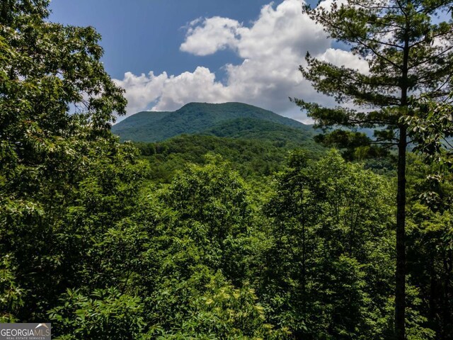 371 Little Rock Creek Ct, Cherry Log, GA 30522 - view of mountain backdrop with a heavily wooded area
