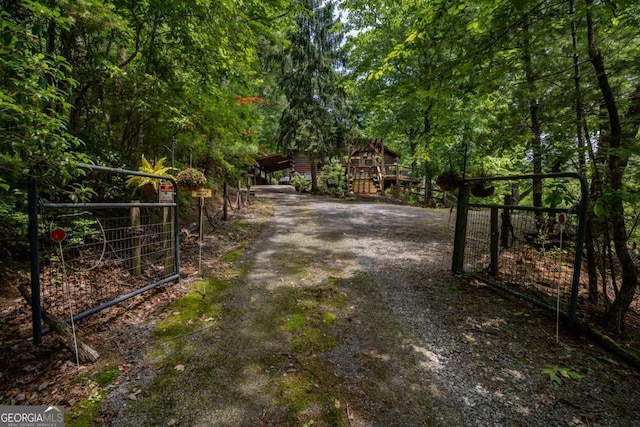 371 Little Rock Creek Ct, Cherry Log, GA 30522 - view of road featuring a gate and a gated entry
