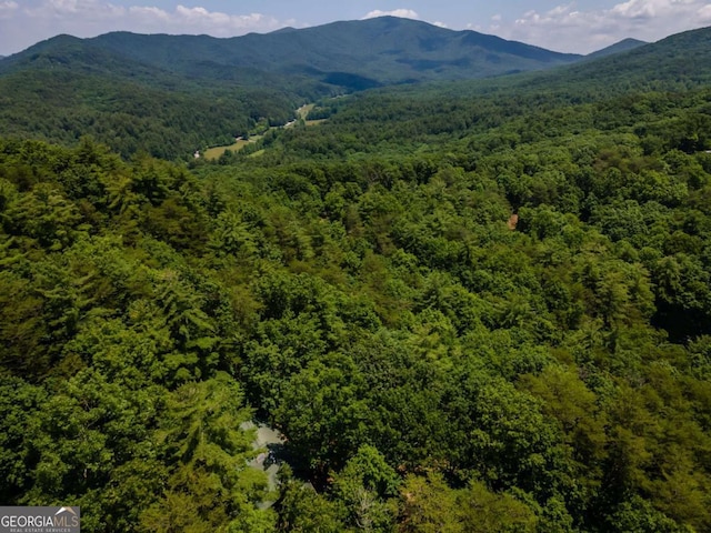 371 Little Rock Creek Ct, Cherry Log, GA 30522 - view of mountain background featuring a heavily wooded area