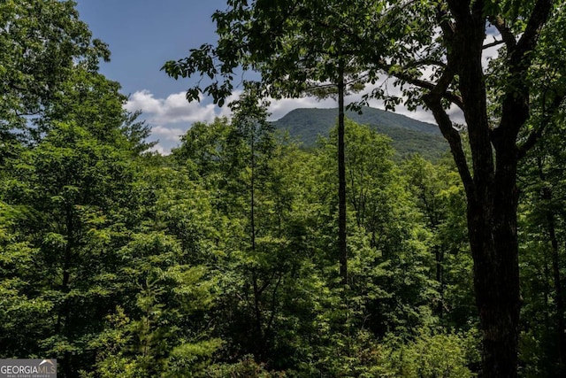 371 Little Rock Creek Ct, Cherry Log, GA 30522 - view of mountain backdrop with a heavily wooded area