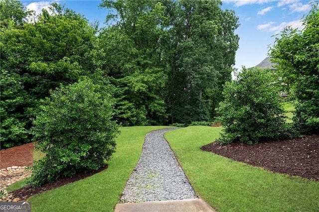 6445 Lucent Ln, Atlanta, GA 30328 - view of grassy yard