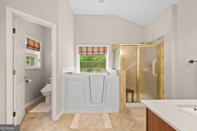 3633 Gilpin Ct, Lawren, GA 30044 - bathroom featuring a shower stall, toilet, vanity, a bath, and vaulted ceiling