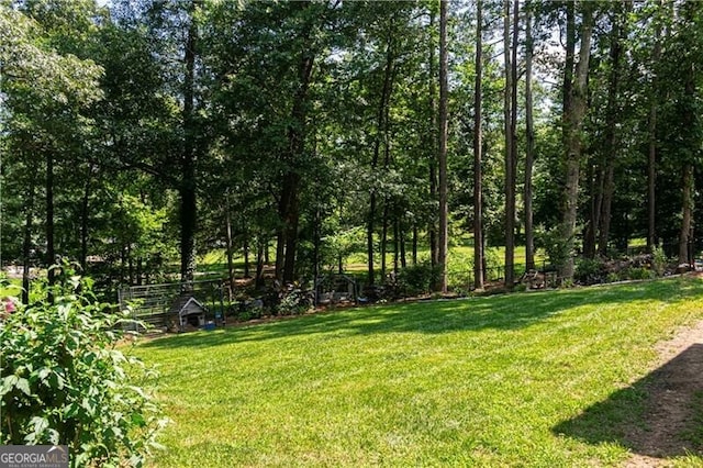 2050 Lyda Ln, Loganville, GA 30052 - view of yard