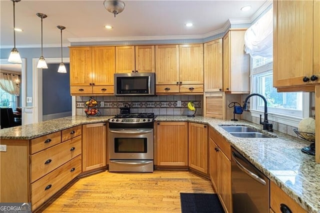 2050 Lyda Ln, Loganville, GA 30052 - kitchen featuring appliances with stainless steel finishes, a sink, ornamental molding, light wood-type flooring, and a peninsula