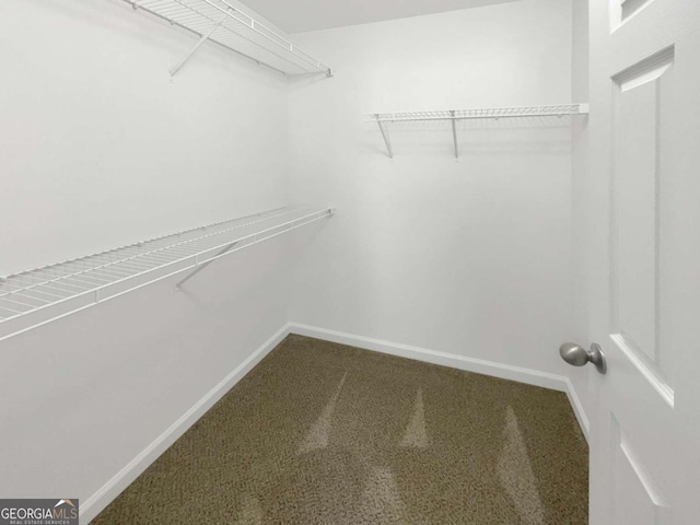 2555 Flat Shoals Rd Unit 3405, Atlanta, GA 30349 - walk in closet with carpet floors