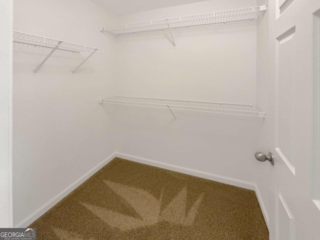 2555 Flat Shoals Rd Unit 3405, Atlanta, GA 30349 - spacious closet with carpet