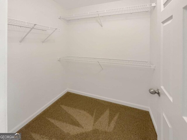 2555 Flat Shoals Rd Unit 3405, Atlanta, GA 30349 - spacious closet with carpet