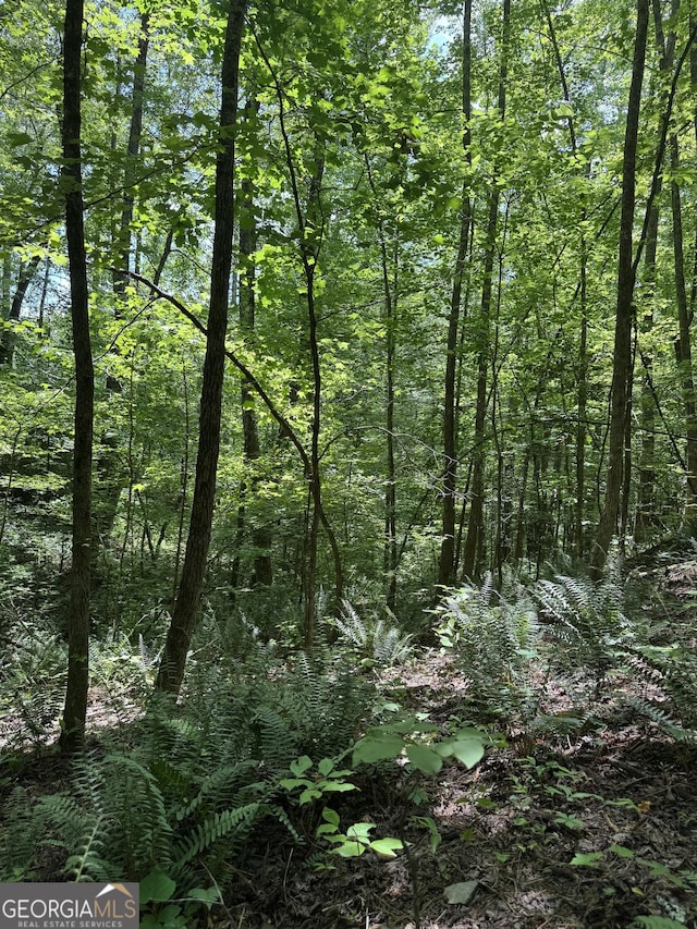 0 Long Branch Rd, Ranger, GA 30734