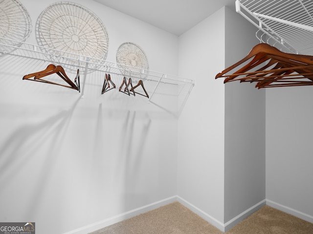 8215 Coldstream Dr, Fairburn, GA 30213 - spacious closet with carpet flooring