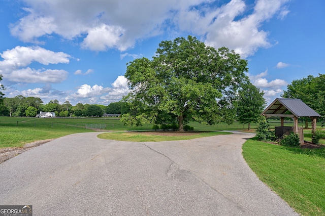 3315 Chandler Rd, Good Hope, GA 30641 - view of asphalt driveway featuring view of wooded area