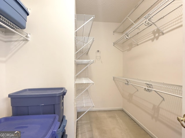 9135 Woodhaven Way, Mcdonough, GA 30253 - walk in closet with carpet flooring