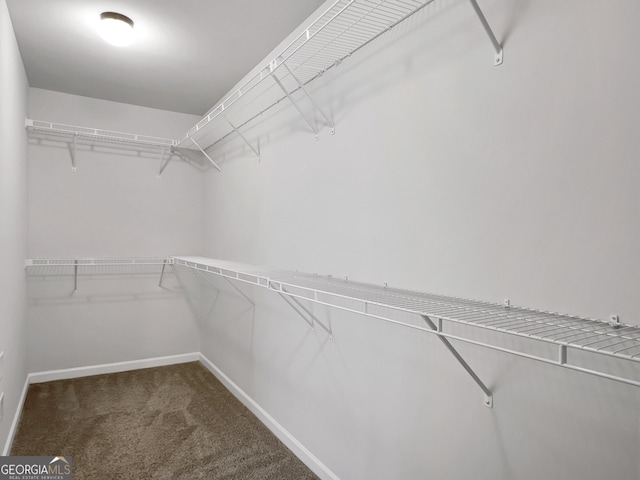 789 Galveston Way, Mcdonough, GA 30253 - spacious closet with carpet
