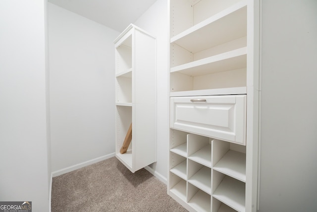 70 Sylvia Cir, Covington, GA 30016 - spacious closet with carpet flooring