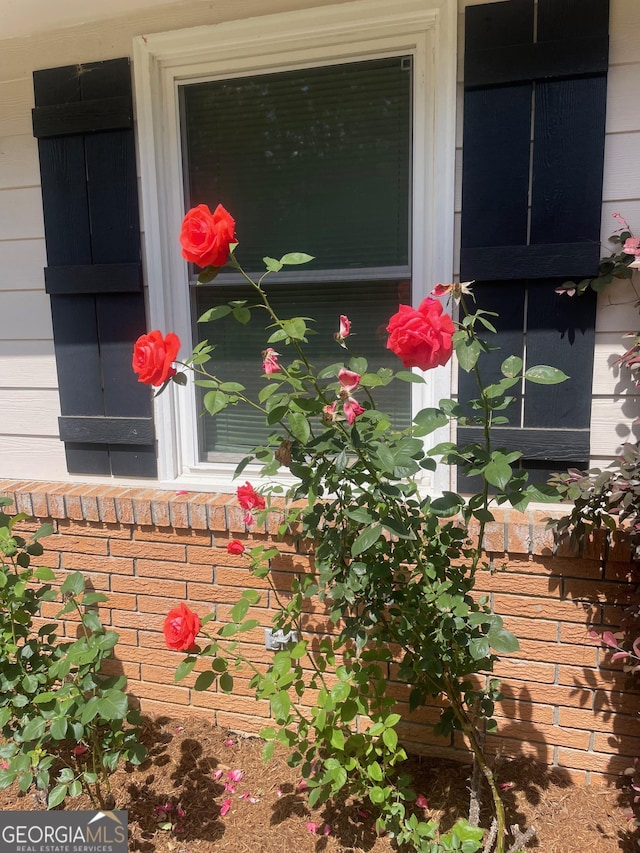 215 Old Mize Rd, Toccoa, GA 30577 - exterior view