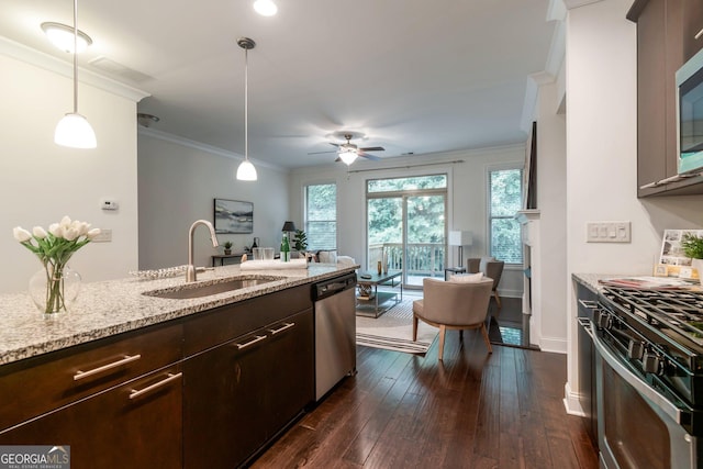 7850 Willoughby Ct, Alpharetta, GA 30005 - kitchen featuring stainless steel appliances, a ceiling fan, dark brown cabinetry, healthy amount of natural light, and crown molding