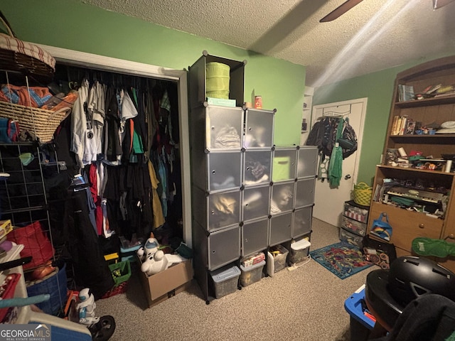 992 Tom Bell Rd, Cleveland, GA 30528 - storage featuring ceiling fan