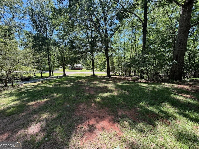 992 Tom Bell Rd, Cleveland, GA 30528 - view of grassy yard