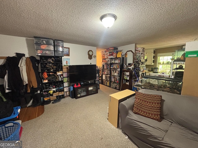 992 Tom Bell Rd, Cleveland, GA 30528 - carpeted living room with a textured ceiling